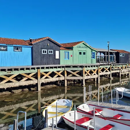 Cozy In Dolus-doleron With Wifi Dolus-d'Oleron